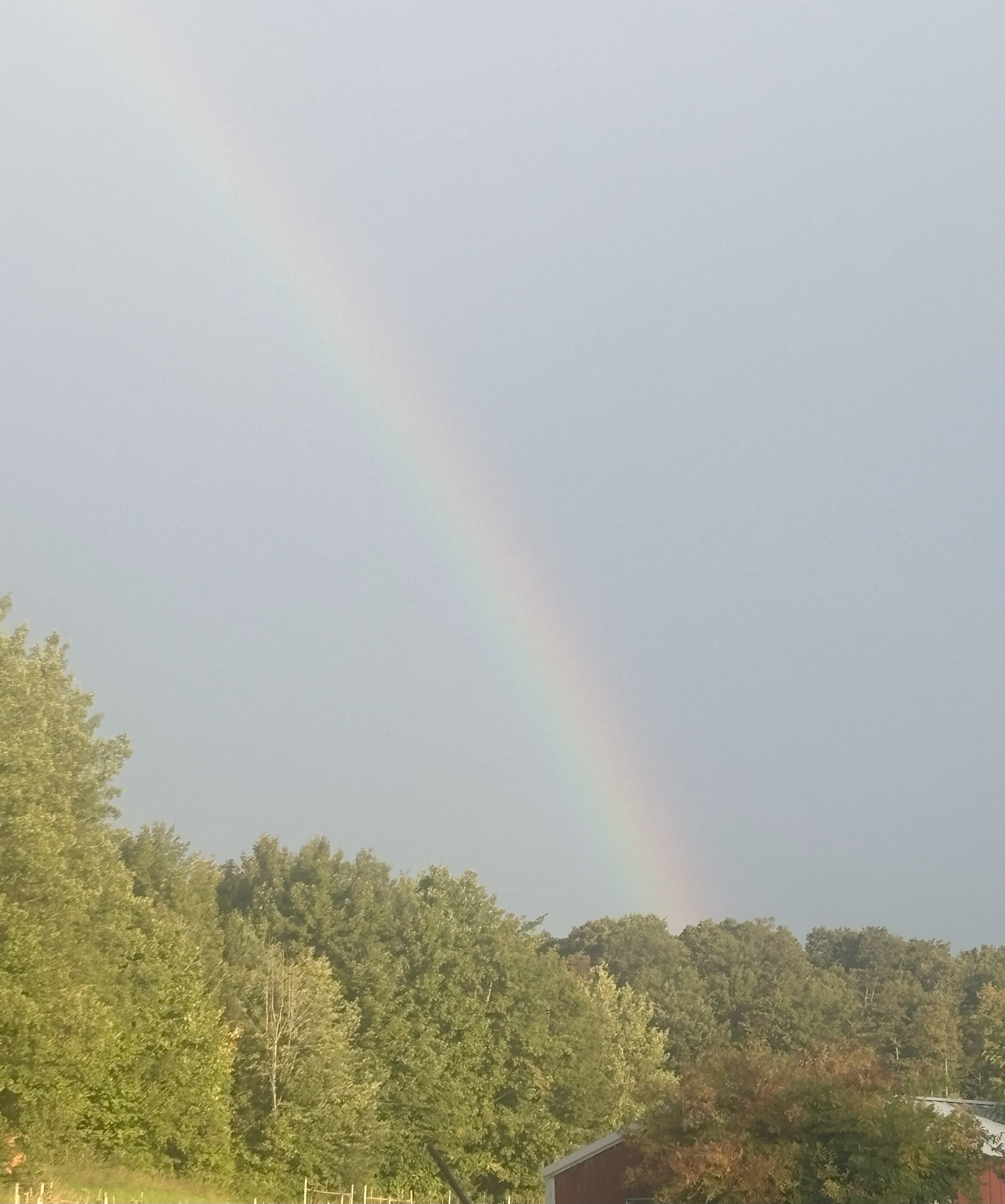 A rainbow in the sky with trees and a red barn in the foreground.